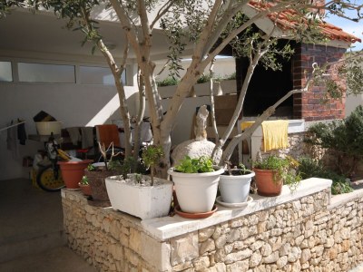 Apartment One bedroom apartment with terrace and sea view Drašnice, Makarska A-2581-a - Outdoor photo 8