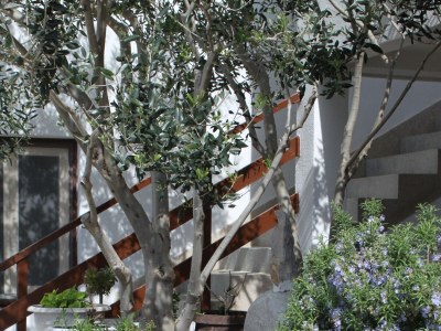 Apartment One bedroom apartment with terrace and sea view Drašnice, Makarska A-2581-a - Outdoor photo 10