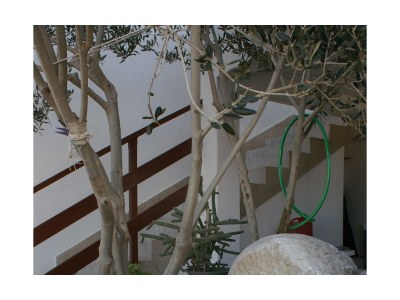 Apartment One bedroom apartment with terrace and sea view Drašnice, Makarska A-2581-a - Outdoor photo 11