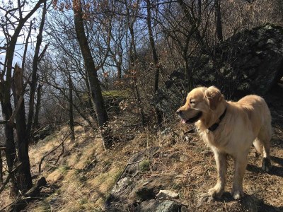 Holiday apartment Haus Nikodemus - Outdoor photo 6