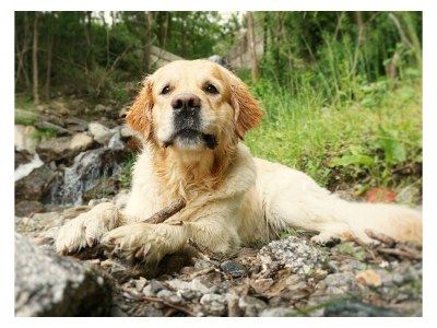 Holiday apartment Haus Nikodemus - Features photo 17