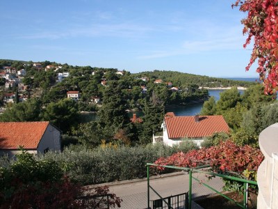 Apartment Three bedroom apartment with terrace and sea view Splitska, Brač A-2923-b - Outdoor photo 28