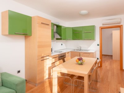 Apartment Two bedroom apartment with balcony and sea view Tučepi, Makarska A-3193-f in Tučepi - Apartment