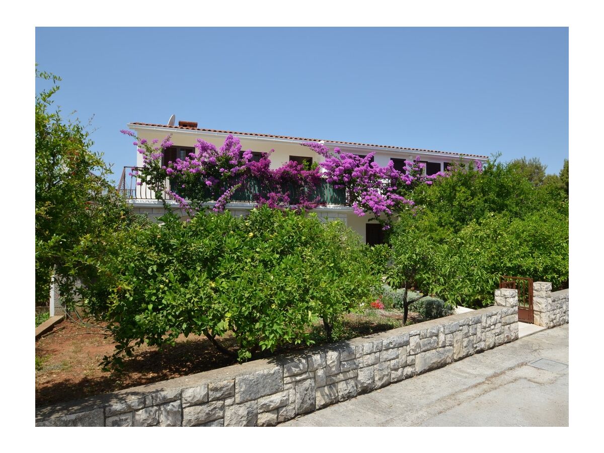 Apartment Two bedroom apartment with terrace and sea view Prižba, Korčula A-149-b - Outdoor photo 3