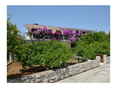 Apartment Two bedroom apartment with terrace and sea view Prižba, Korčula A-149-b - Outdoor photo 3