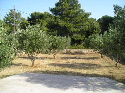 Apartment Two bedroom apartment with terrace and sea view Prižba, Korčula A-149-b - Outdoor photo 8