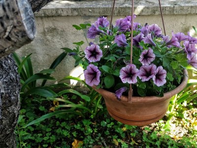 Apartment One bedroom apartment near beach Brodarica, Šibenik A-4194-b - Outdoor photo 15