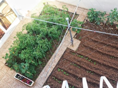 Apartment One bedroom apartment near beach Brodarica, Šibenik A-4194-c - Outdoor photo 13