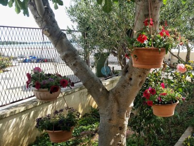 Apartment One bedroom apartment near beach Brodarica, Šibenik A-4194-e - Outdoor photo 10