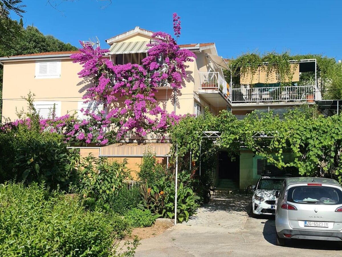 Apartment Studio flat (pet friendly) Trpanj, Pelješac AS-257-b