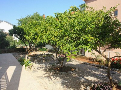 Apartment One bedroom apartment with terrace Orebić, Pelješac A-10082-b - Outdoor photo 5