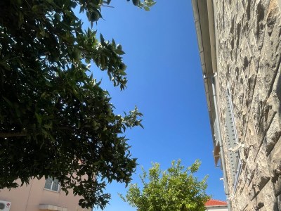 Apartment One bedroom apartment with terrace Orebić, Pelješac A-10082-c - Outdoor photo 6