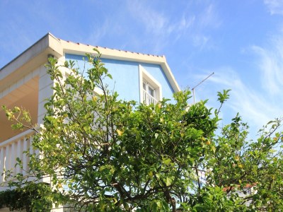 Apartment One bedroom apartment with terrace and sea view Viganj, Pelješac A-10189-a - Outdoor photo 6