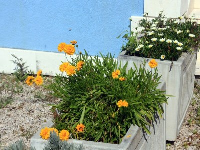 Apartment One bedroom apartment with terrace Viganj, Pelješac A-10189-d - Outdoor photo 9