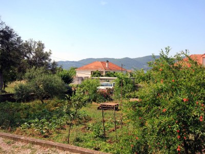 Apartment One bedroom apartment with terrace Viganj, Pelješac A-10189-d - Outdoor photo 21