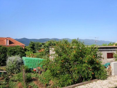 Apartment Studio flat with terrace Viganj, Pelješac AS-10189-b - Outdoor photo 16