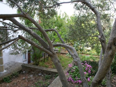 Apartment One bedroom apartment with air-conditioning Podgora, Makarska A-518-c - Outdoor photo 5