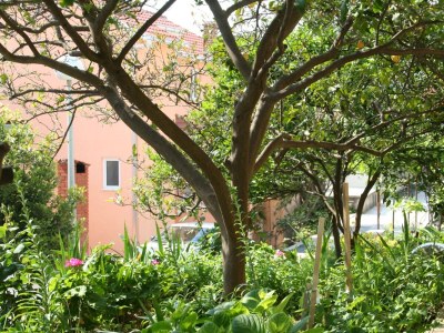 Apartment One bedroom apartment with air-conditioning Podgora, Makarska A-518-c - Outdoor photo 17