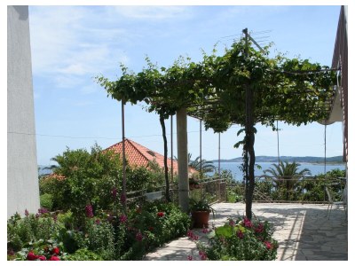 Apartment One bedroom apartment with terrace and sea view Orebić, Pelješac A-10436-b - Outdoor photo 7