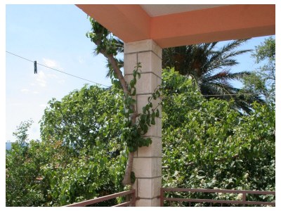 Apartment One bedroom apartment with terrace and sea view Orebić, Pelješac A-10436-b - Outdoor photo 16