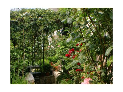 Apartment Two bedroom apartment with terrace and sea view Mandre, Pag A-523-d - Outdoor photo 6