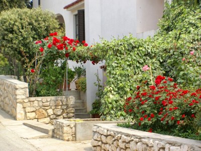 Apartment Two bedroom apartment with terrace and sea view Mandre, Pag A-523-d - Outdoor photo 8