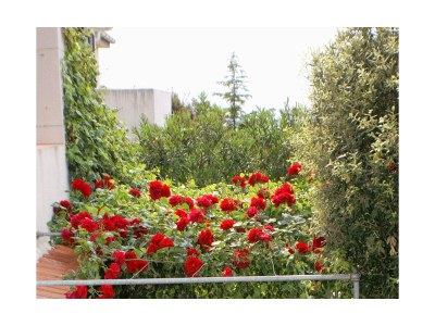 Apartment Two bedroom apartment with terrace and sea view Mandre, Pag A-523-d - Outdoor photo 9