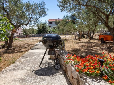 Apartment Apartments with parking space Jezera, Murter - 798 - Outdoor photo 11