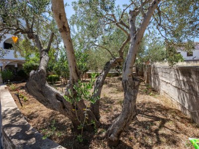 Apartment Apartments with parking space Jezera, Murter - 798 - Outdoor photo 15