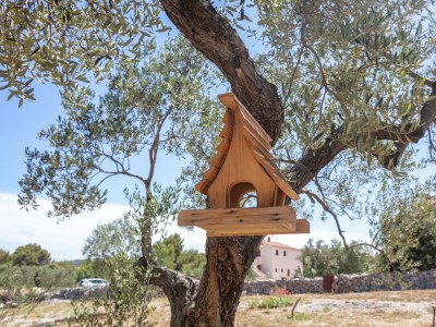 Apartment Apartments with parking space Jezera, Murter - 798 - Outdoor photo 16