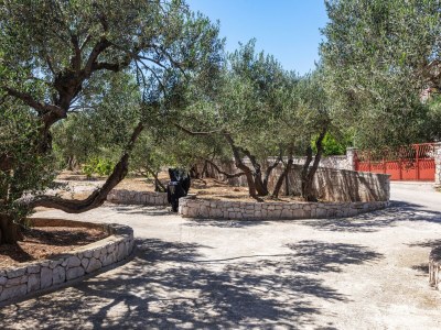 Apartment Apartments with parking space Jezera, Murter - 798 - Outdoor photo 21