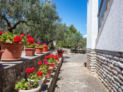 Apartment Apartments with parking space Jezera, Murter - 798 - Outdoor photo 12