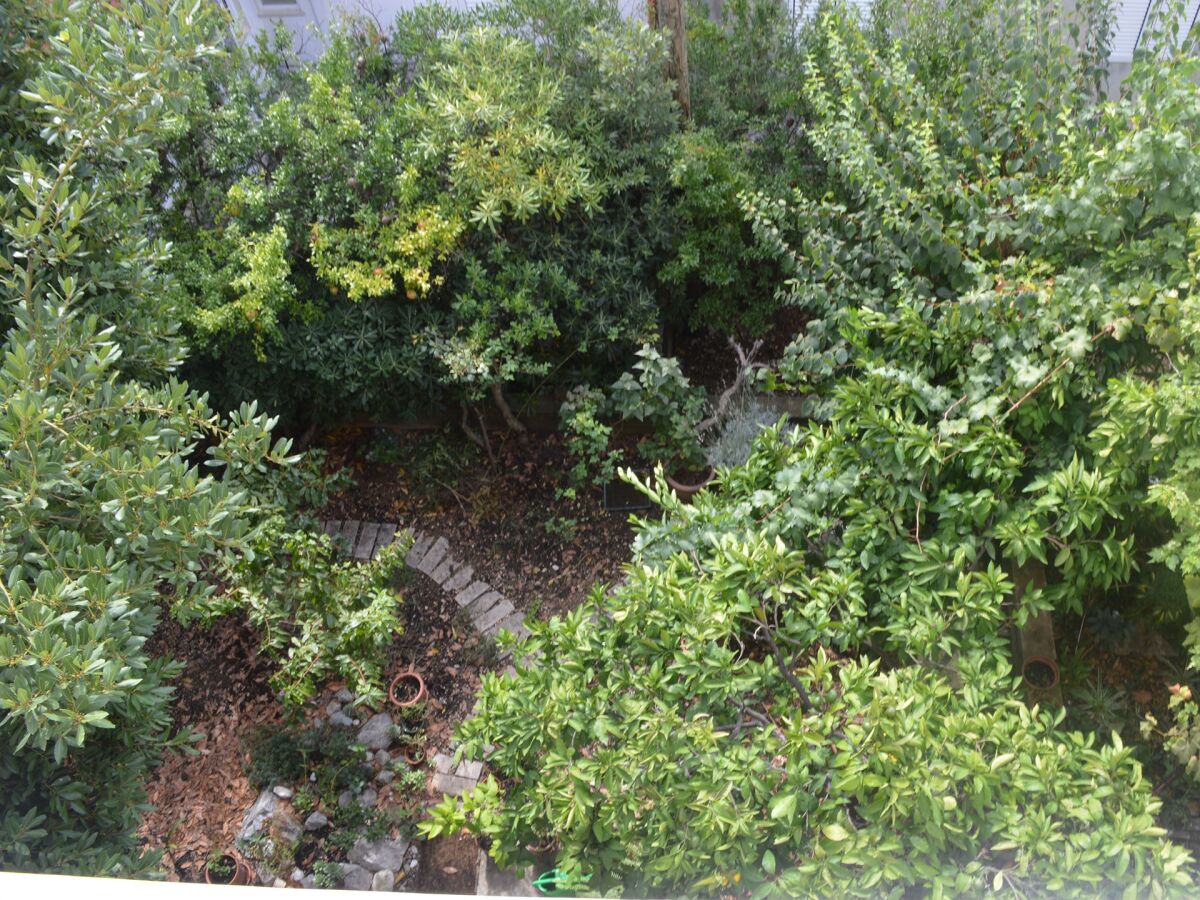 Apartment Two bedroom apartment with balcony and sea view Makarska A-11361-b - Outdoor photo 4