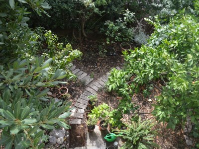 Apartment Two bedroom apartment with balcony and sea view Makarska A-11361-b - Outdoor photo 3