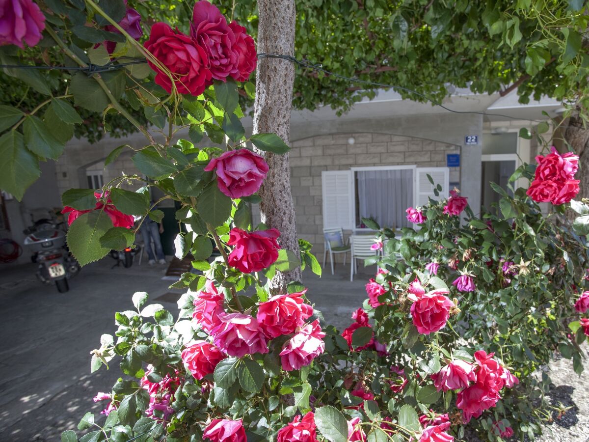 Apartment Two bedroom apartment with terrace Tučepi, Makarska A-11486-a - Outdoor photo 3