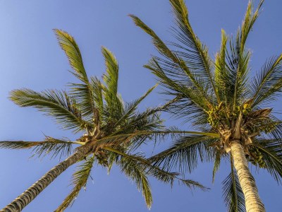 Holiday apartment Chateau Morro 7 - Document photo 42