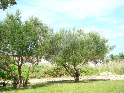 Apartment One bedroom apartment with balcony and sea view Pag A-13060-b - Outdoor photo 9