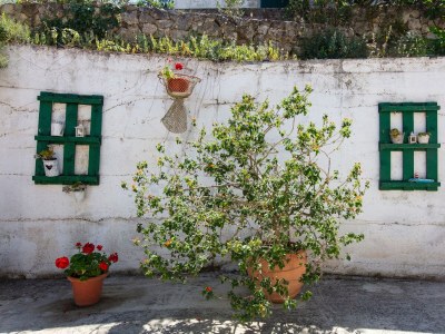 Apartment One bedroom apartment with balcony and sea view Tisno, Murter A-815-e - Outdoor photo 13