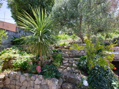 Apartment One bedroom apartment with balcony and sea view Tisno, Murter A-815-e - Outdoor photo 34