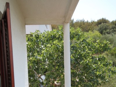 Apartment Two bedroom apartment with terrace and sea view Kali, Ugljan A-834-a - Outdoor photo 32