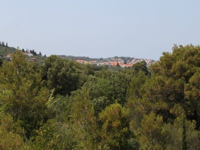 Apartment Two bedroom apartment with terrace and sea view Kali, Ugljan A-834-a - Outdoor photo 34