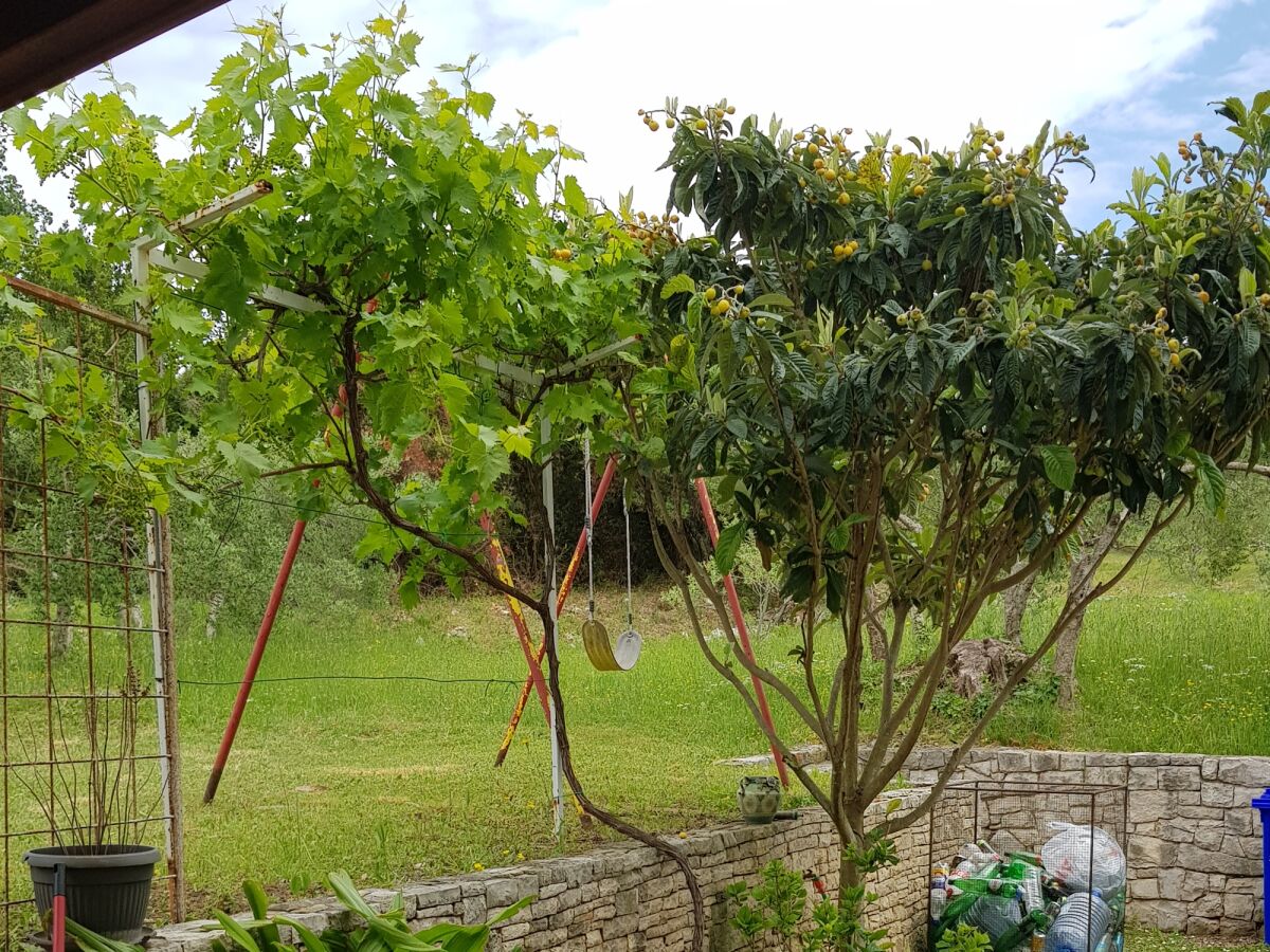 Apartment Two bedroom apartment with terrace and sea view Viganj, Pelješac A-13241-a - Outdoor photo 5