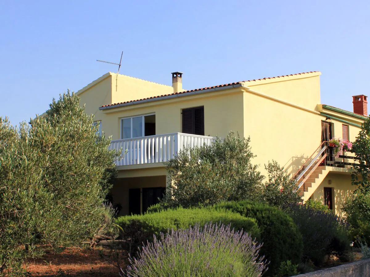 Apartment Two bedroom apartment with terrace Zaglav, Dugi otok A-878-a