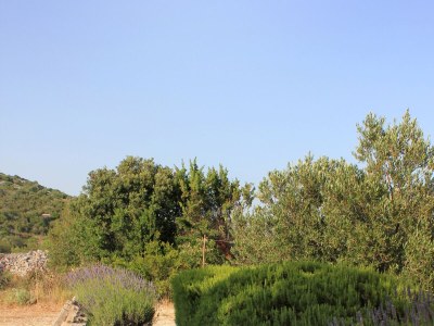 Apartment Two bedroom apartment with terrace Zaglav, Dugi otok A-878-a - Outdoor photo 9