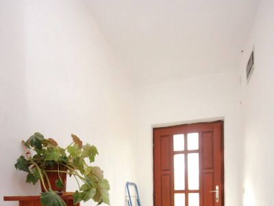 Apartment Two bedroom apartment with terrace Zaglav, Dugi otok A-878-a - Outdoor photo 24