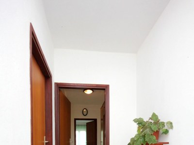 Apartment Two bedroom apartment with terrace Zaglav, Dugi otok A-878-a - Outdoor photo 25