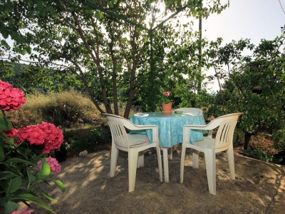 Apartment Two bedroom apartment with terrace Zaglav, Dugi otok A-878-a - Outdoor photo 29