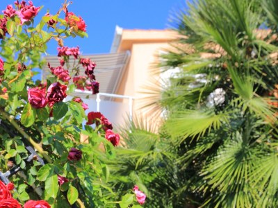 Apartment One bedroom apartment with terrace and sea view Rastići, Čiovo A-4293-a - Outdoor photo 12