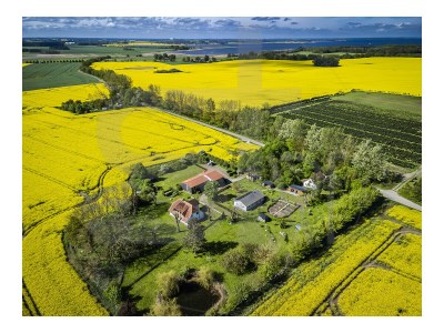 Holiday house 4 person holiday home in Nørre Nebel - Outdoor photo 6