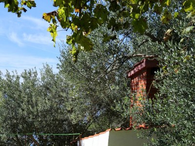 Apartment Studio flat near beach Pisak, Omiš AS-1014-c - Outdoor photo 12